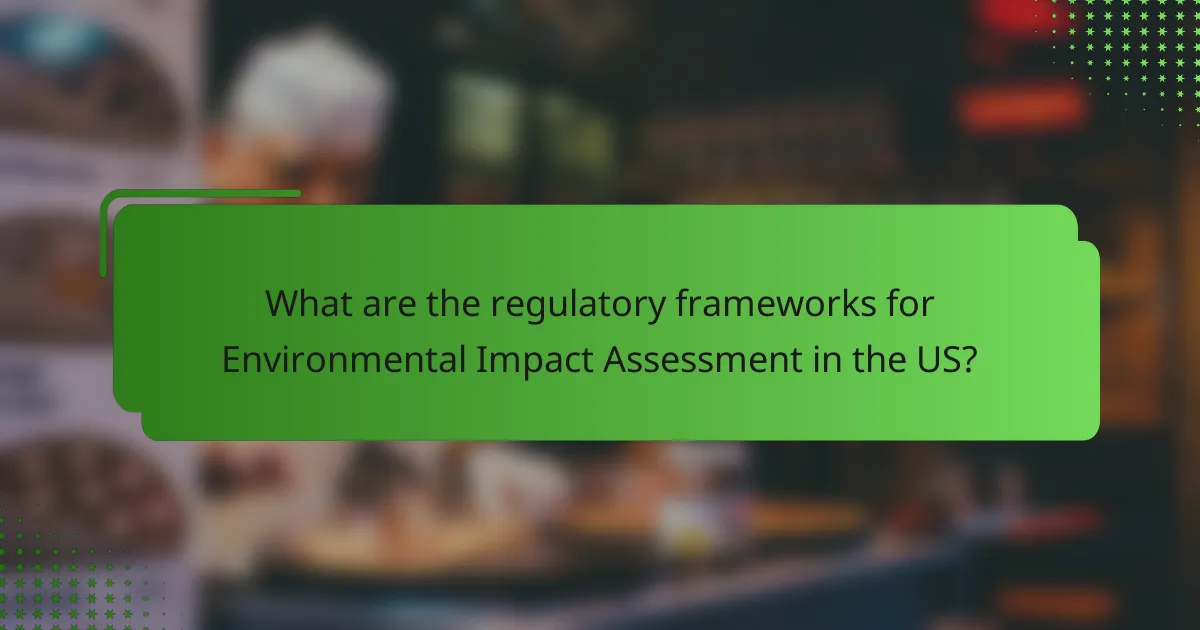 What are the regulatory frameworks for Environmental Impact Assessment in the US?
